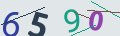verifycode